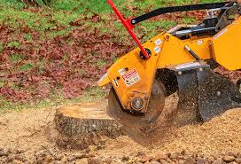 How Our Tree Care Process Works  in  Texarkana, TX
