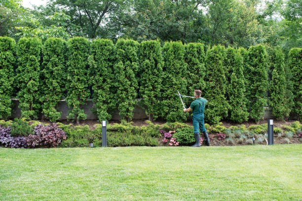 Landscape Design and Installation in Texarkana, TX