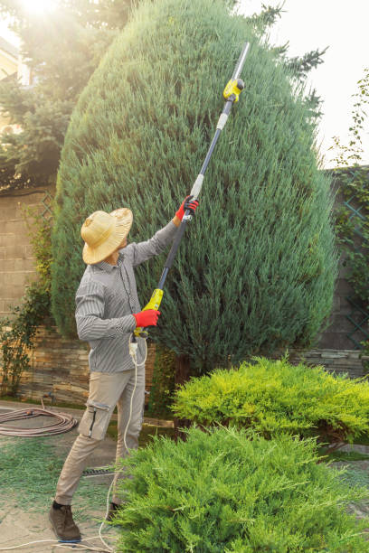 Lawn Pest Prevention in Texarkana, TX